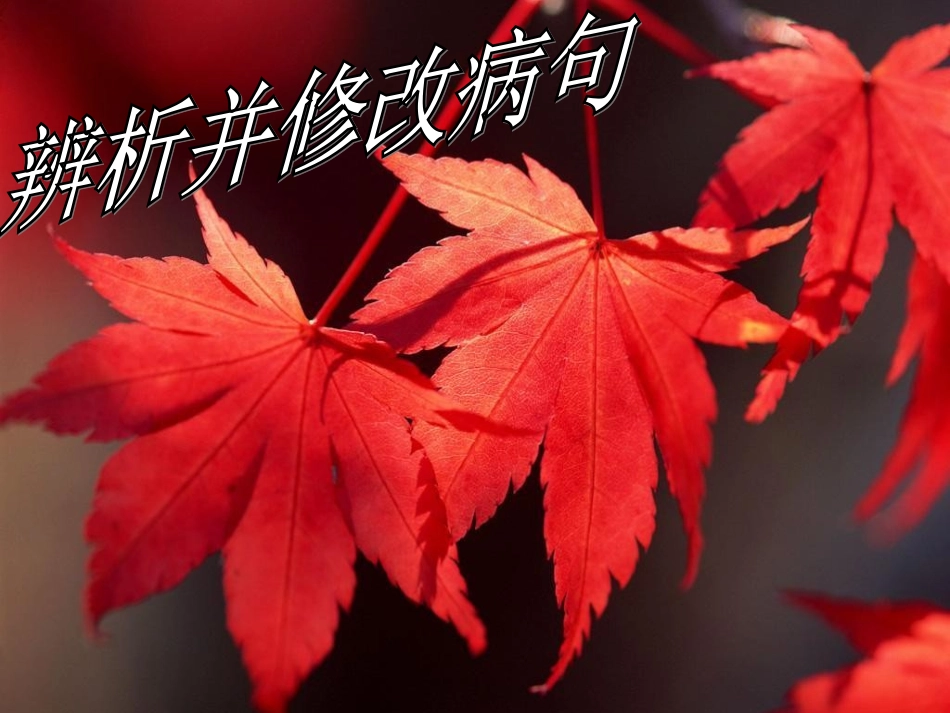 二班五组辨析病句之结构混乱_第1页