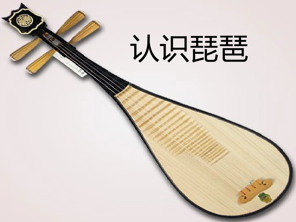 琵琶的浅认识_第1页