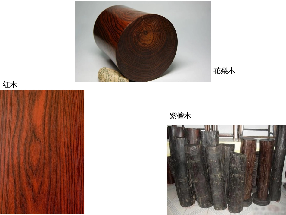 琵琶的浅认识_第2页