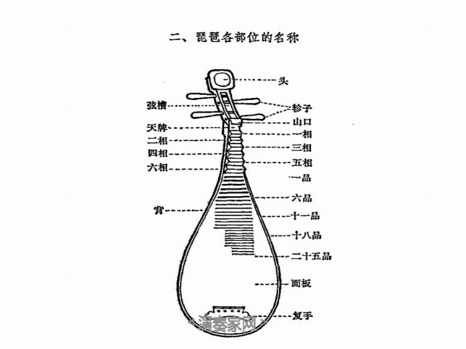 琵琶的浅认识_第3页