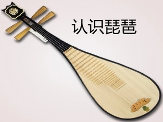琵琶的浅认识