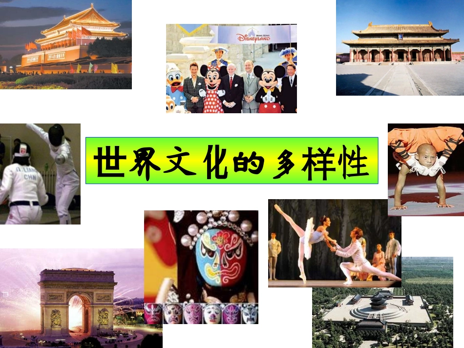 世界文化的多样性_第2页