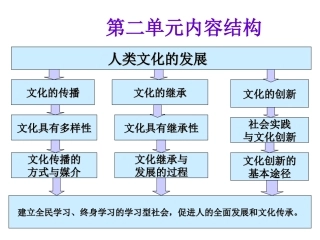 世界文化的多样性