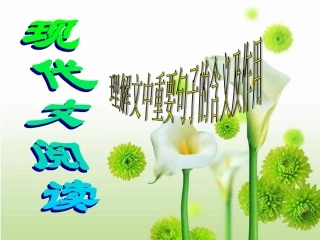 理解句子含义