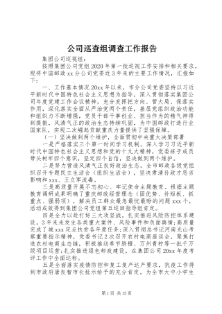 公司巡查组调查工作报告