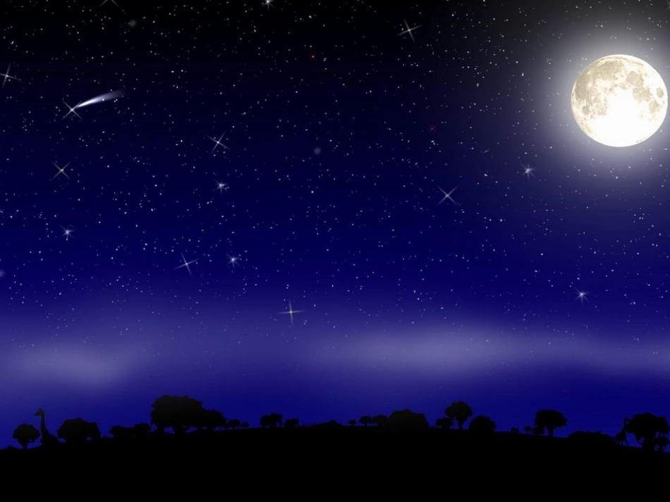 《月球之谜》人教版小学语文三年级下册第22课PPT课件_第2页