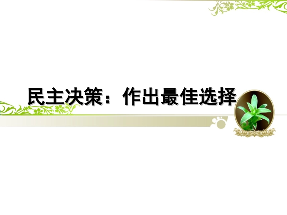 敬佳丽民主决策：作出最佳选择_第3页
