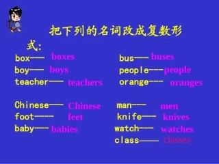 名词单数变复数