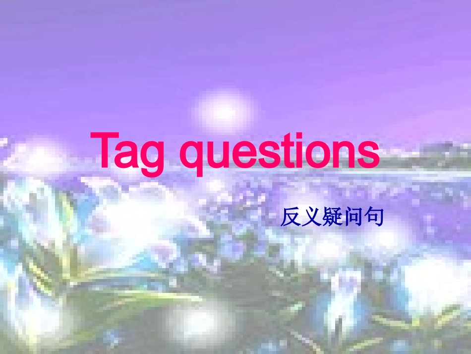 =高一英语反义疑问句_第2页
