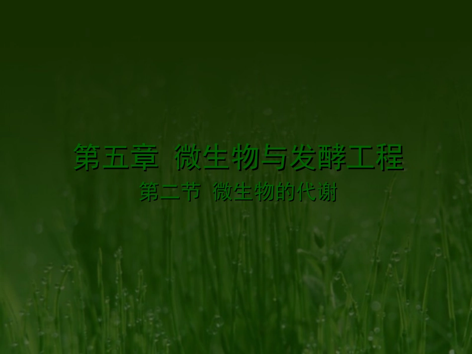 第五章微生物与发酵工程第二节微生物的代谢_第1页