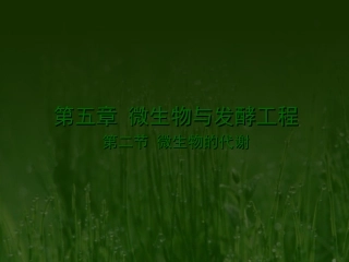 第五章微生物与发酵工程第二节微生物的代谢