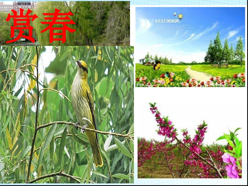 综合性学习《寻觅春天的踪迹》课件_第2页