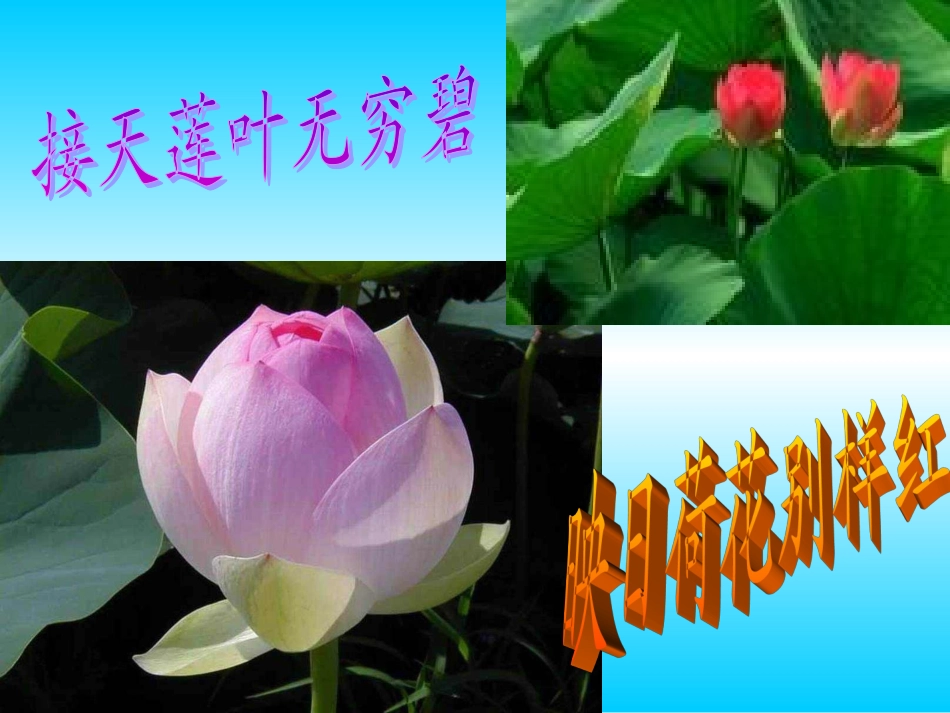 大自然的语言 (2)_第2页