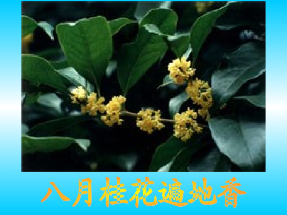 大自然的语言 (2)_第3页