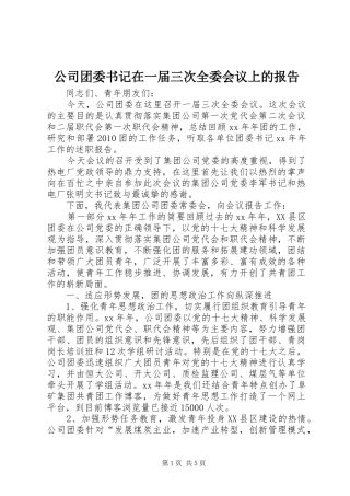 公司团委书记在一届三次全委会议上的报告