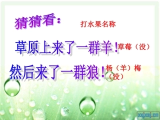 食物链和食物网PPT五上