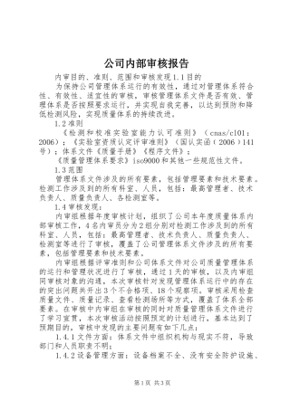公司内部审核报告