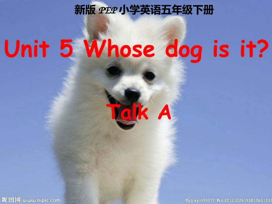 月日最新版人教版英语五年级下册第五单元全套课件_第1页