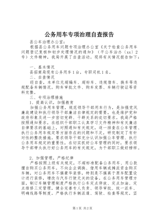 公务用车专项治理自查报告