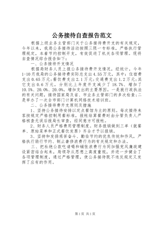 公务接待自查报告范文