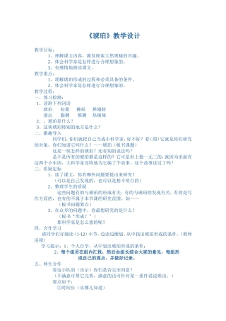 琥珀教案 (2)