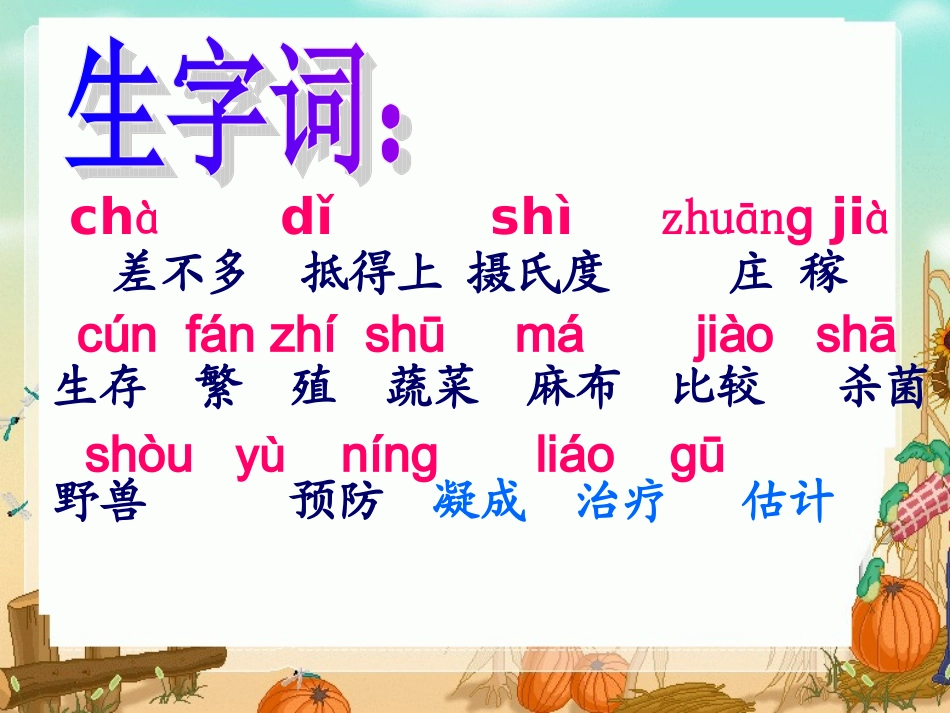 《太阳》课件_第3页