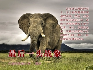 《最后一头战象》上课课件周兰