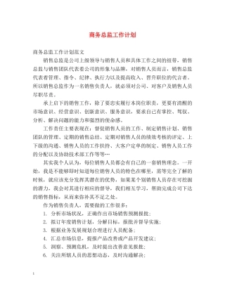 商务总监工作计划 