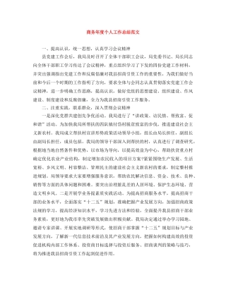 商务年度个人工作总结范文 