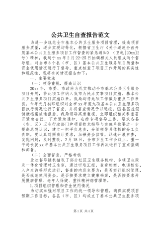 公共卫生自查报告范文