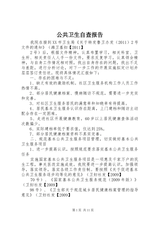 公共卫生自查报告