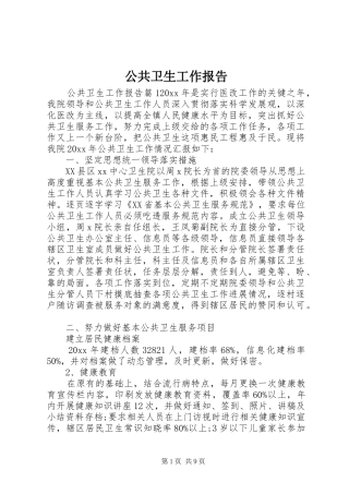 公共卫生工作报告