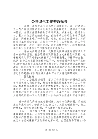 公共卫生工作整改报告