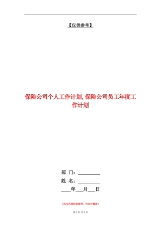 保险公司个人工作计划