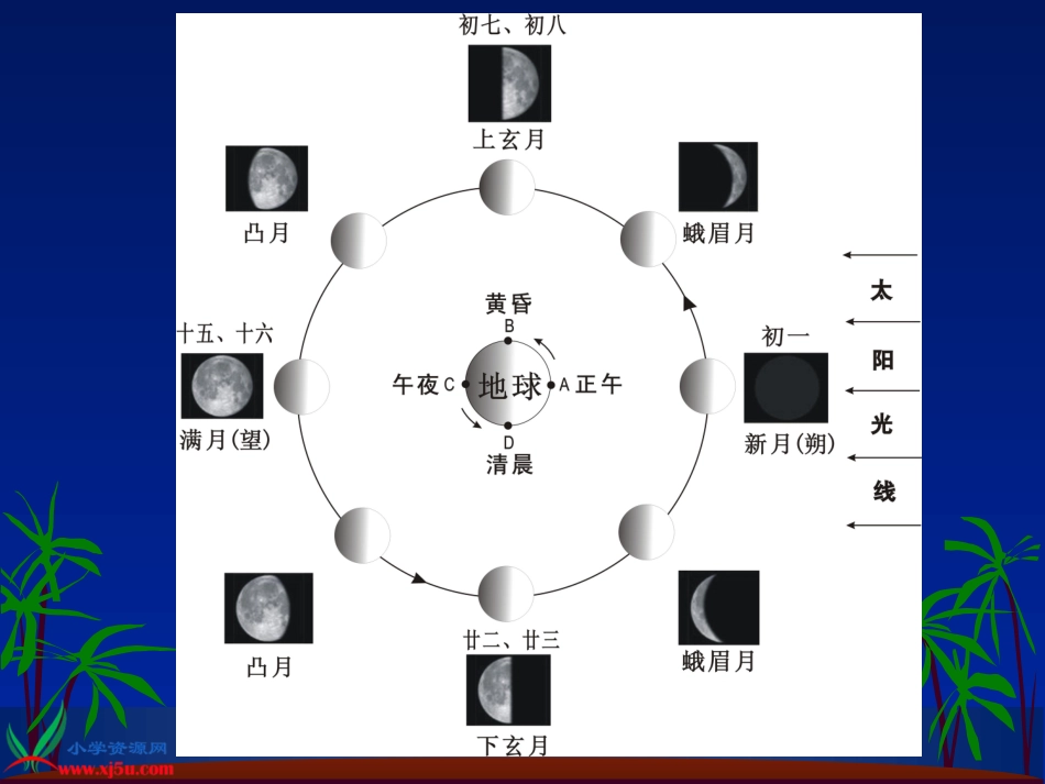 苏教版小学科学五年级上册《看月亮》PPT课件之二_第3页