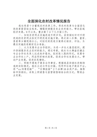 全面深化农村改革情况报告