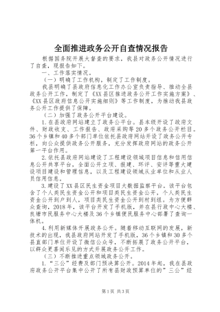 全面推进政务公开自查情况报告
