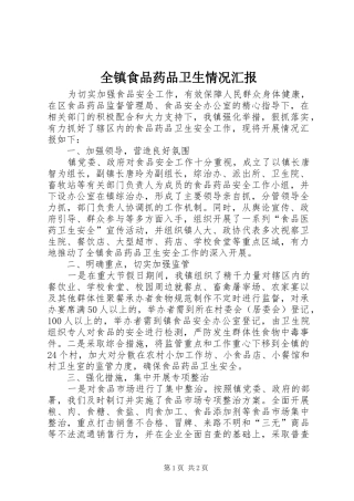 全镇食品药品卫生情况汇报