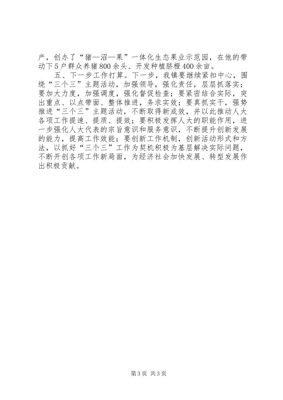 全镇人大开展三个三活动汇报_第3页