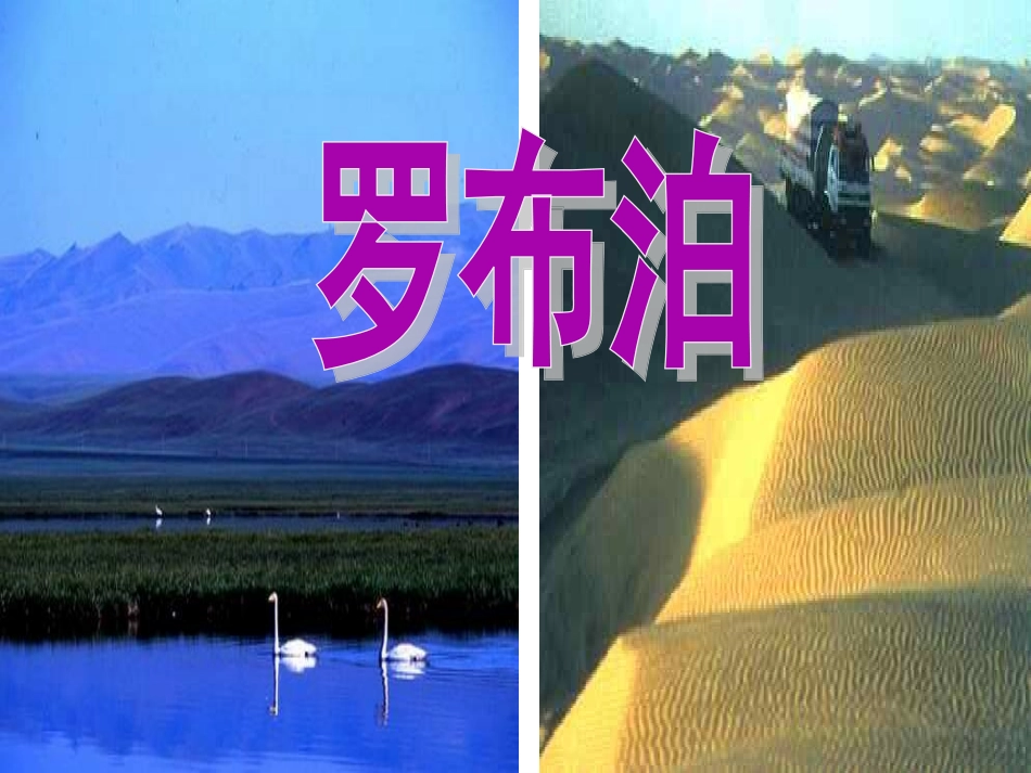 《罗布泊消逝的仙湖》6_第1页