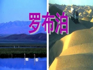 《罗布泊消逝的仙湖》6