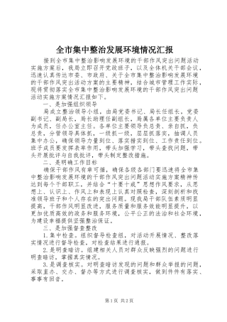 全市集中整治发展环境情况汇报