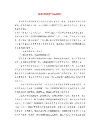 区统计局年度工作总结范文 