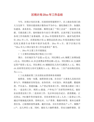 区统计局20xx年工作总结 