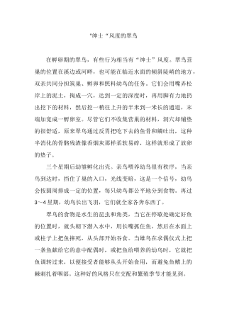 “绅士”风度的翠鸟