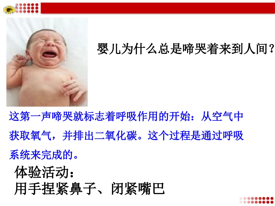 第一节呼吸道对空气的处理_第2页