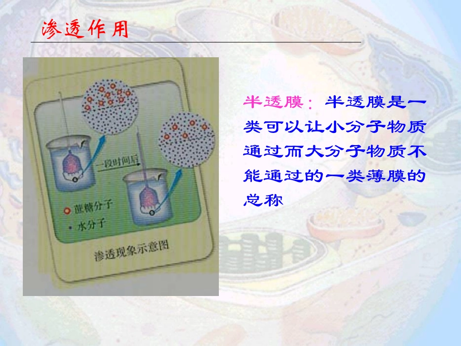 物质跨膜运输的实例 (2)_第3页