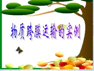物质跨膜运输的实例 (2)