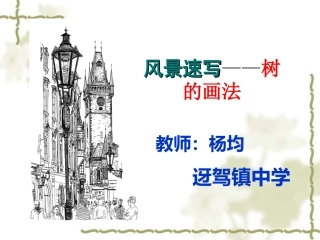 风景速写中树的表现_课件