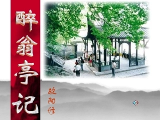第28课《醉翁亭记》311 (2)
